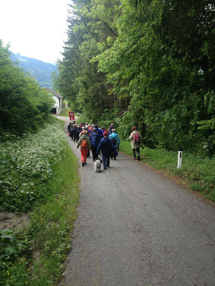 Votivwallfahrt nach Frauenberg